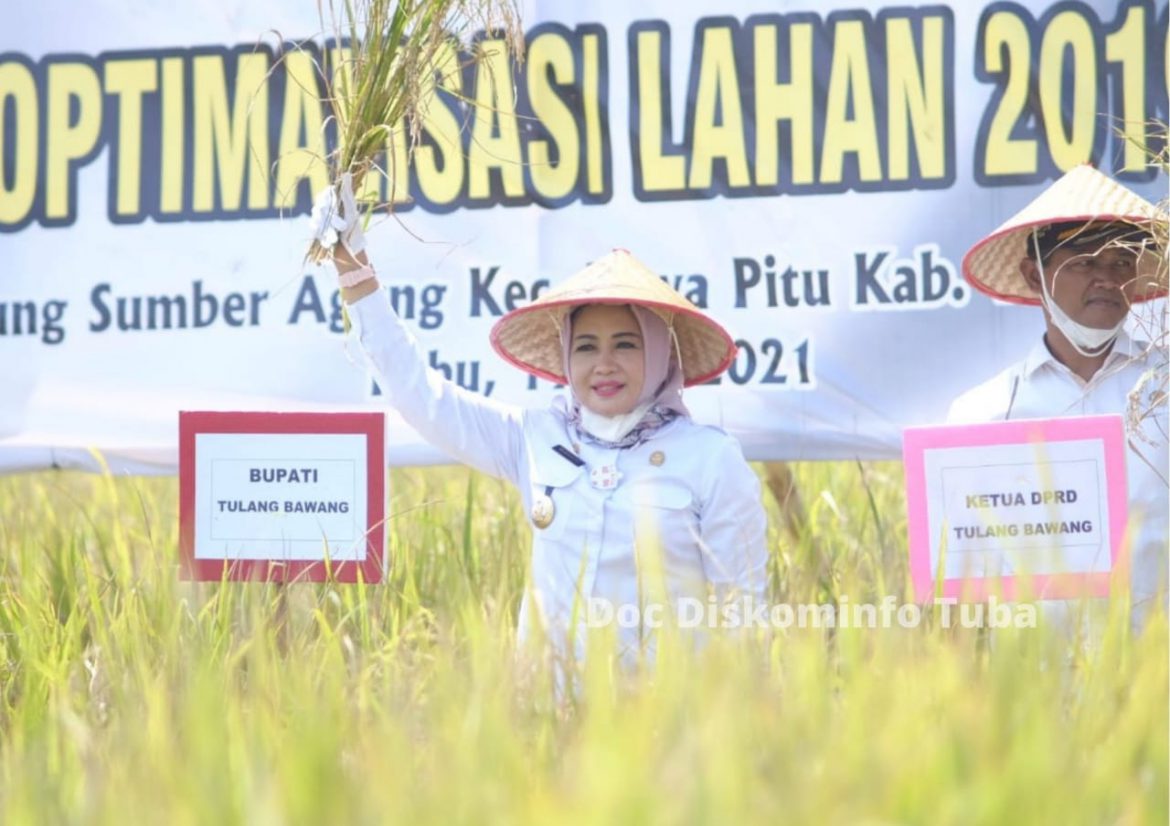 Bupati Tuba Winarti Hadiri acara Panen Raya Padi Inbrida Impara sekaligus Launching Program Kartu Petani Berjaya (KPB) oleh Gubernur Lampung di wakili sekda Provinsi Lampung.