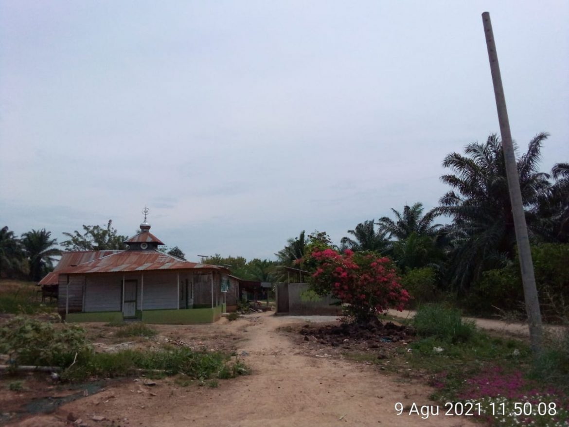 Kondisi Dusun Sidodadi yang belum merasakan Penerangan dari PLN