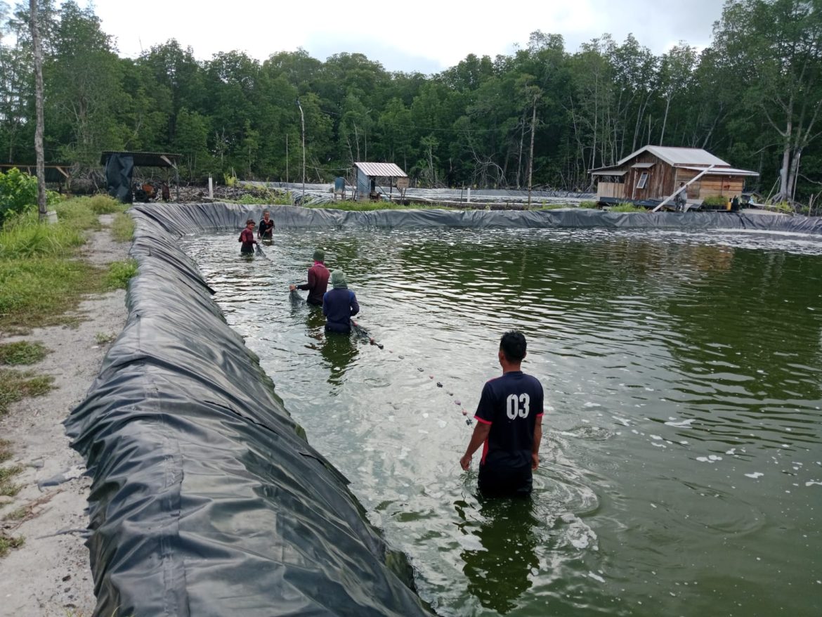 WhatsApp Image 2025-04-03 at 14.23.18