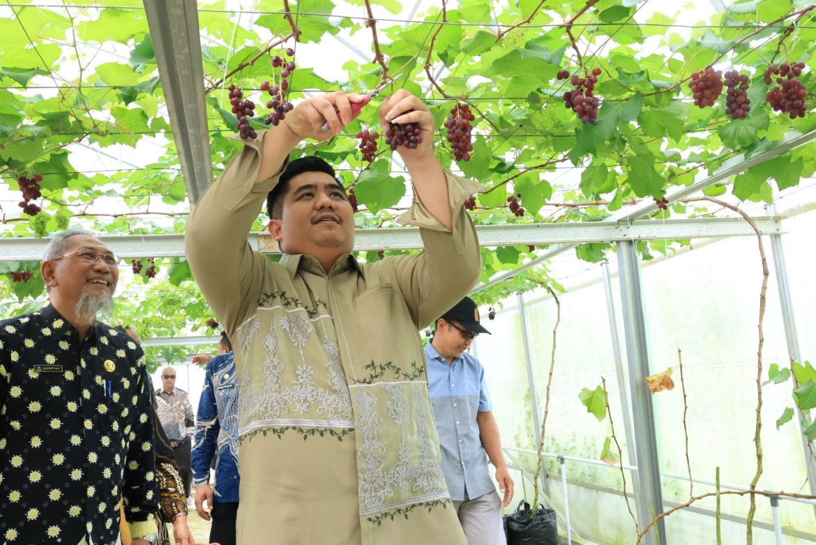 IMG-20251023-WA0126-2048×1368