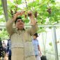 Pengalaman Otodidak Menjadikan Nizam Menjadi Pekebun Anggur Yang Hebat